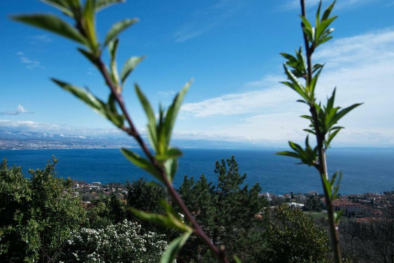Cvita - Cozy Apartment With An Amazing View Lovran Luaran gambar